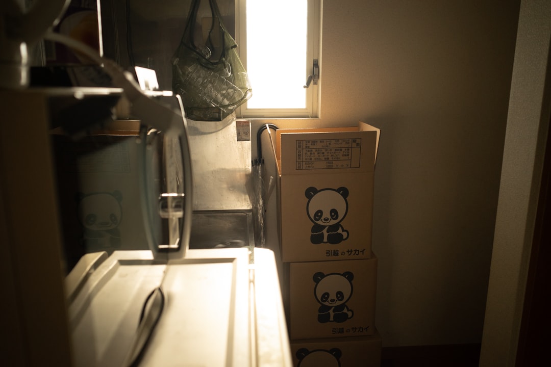 cardboard-boxes-with-panda-faces-stacked-by-window-46atpd8c9nk